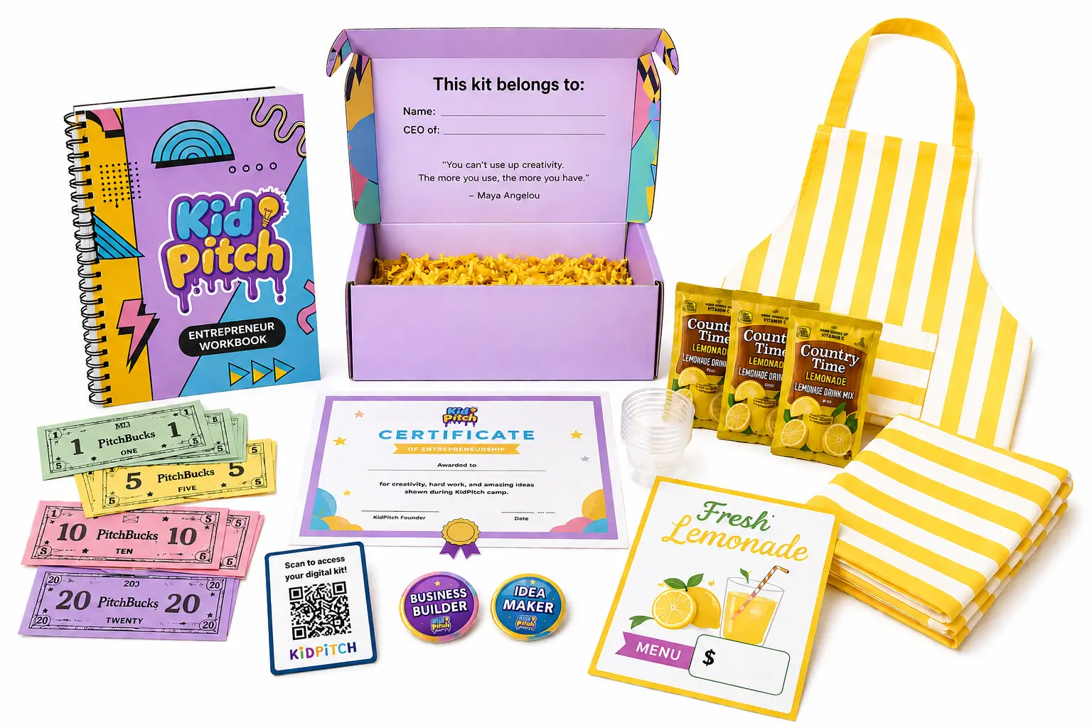 Lemonade Stand Business Kit